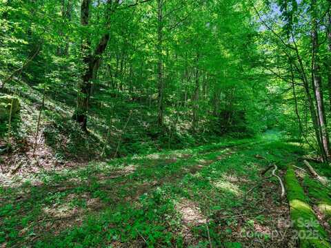 #3 Tbd Lotties Creek Road, Burnsville, NC 28714
