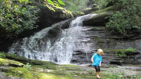 282 H and H Trail, Black Mountain, NC 28711