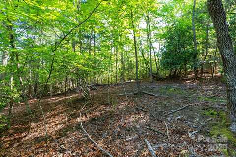 76 Drovers Lane, Fairview, NC 28730