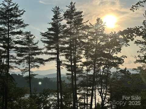 385 Dockside Drive, Nebo, NC 28761