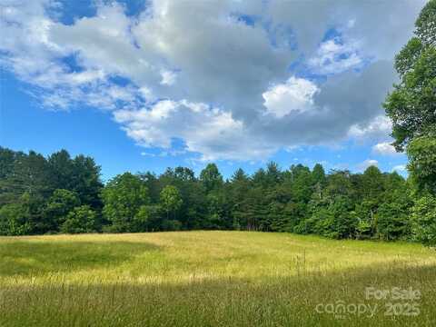 99999 Jenkins Valley Road, Alexander, NC 28701