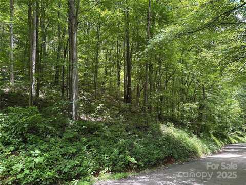 Tbd Upward Way, Waynesville, NC 28785