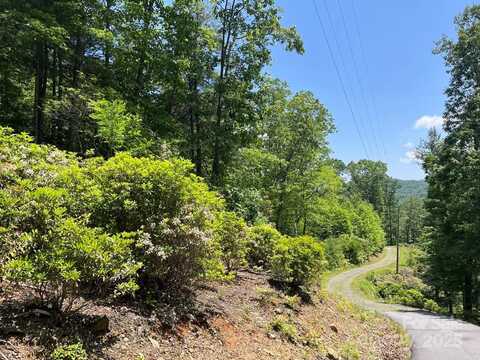 Humpback Mountain Road, Spruce Pine, NC 28777