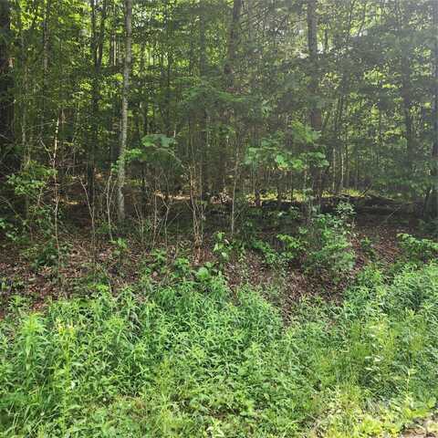 00 Poplar Creek Road, Green Mountain, NC 28740