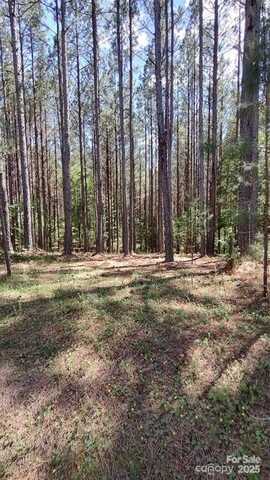 105 Cranberry Lane, Mooresboro, NC 28114