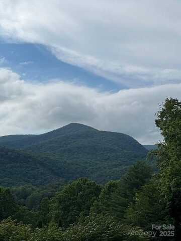 5 Old Cove Road, Black Mountain, NC 28711