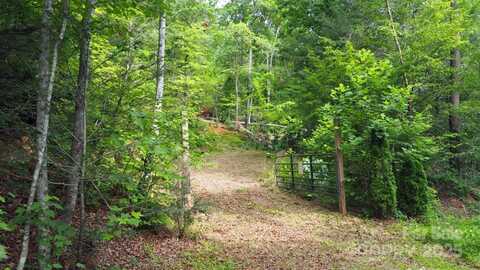 00 Justice Drive, Lake Lure, NC 28746