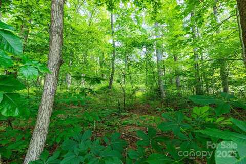 Tbd Woodfin Road, Sylva, NC 28779