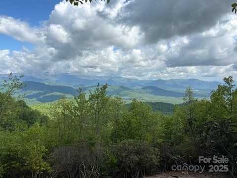 99999 Cliffledge Trail, Black Mountain, NC 28711