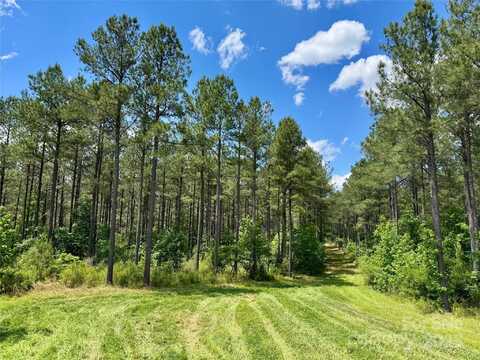 0 Fork Hill Road, Heath Springs, SC 29058