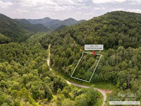 000 Puncheon Lane, Mars Hill, NC 28754