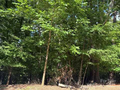 10045 Tepa Place, Tega Cay, SC 29708