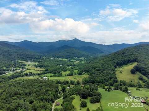56 Great Horned Owl Road, Candler, NC 28715