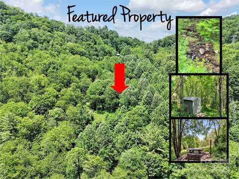 00 Mountain Glen Road, Canton, NC 28716