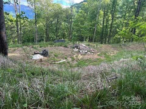 455 Spring Valley Drive, Waynesville, NC 28786