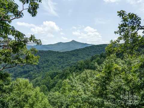 100 White Rock Branch Road, Candler, NC 28715