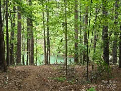 1590 Hawks Pointe Lane, Morganton, NC 28655