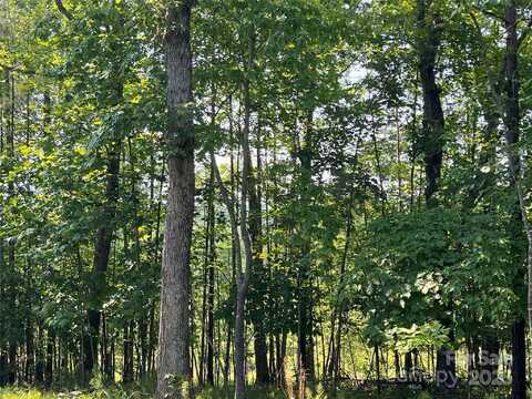 1015 Cross Ridge Drive, Rutherfordton, NC 28139