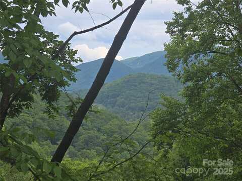 89 Weeping Cherry Forest Road, Fairview, NC 28730