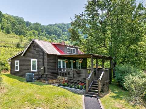 107 Nellies Lane, Canton, NC 28716