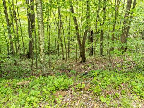 65 Bee Tree Lane, Mars Hill, NC 28754