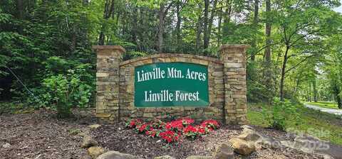 Tbd Ridge Cove Drive, Marion, NC 28752
