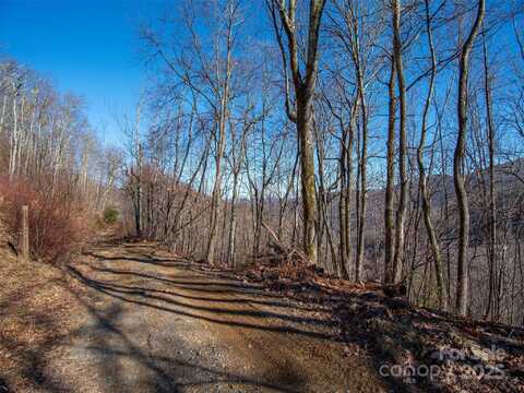 00 Long Branch Road, Maggie Valley, NC 28751