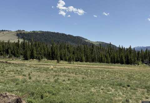 65 Lot 2 Fir Road, Dubois, WY 82513