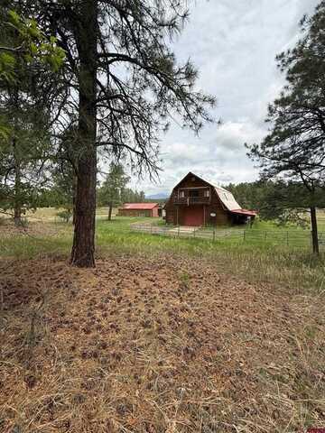 25 J.J. Junction, Pagosa Springs, CO 81147