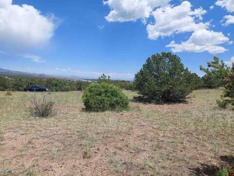 397 Rainbow TRL, South Fork, CO 81154