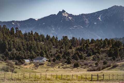 1878 & 1780 Roush Drive, Pagosa Springs, CO 81147