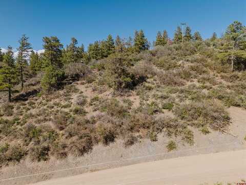 296 Echo Lane, Pagosa Springs, CO 81147