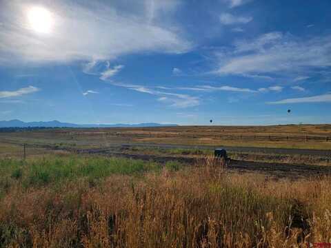 1288 Antelope Avenue, Pagosa Springs, CO 81147