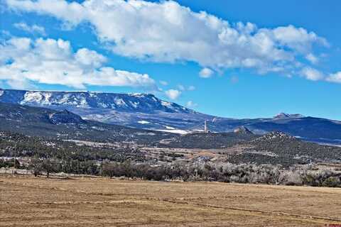12482 54 7/10 Road, Collbran, CO 81624