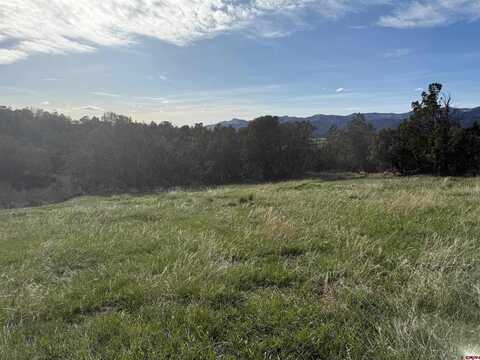 14495 Scott Loop, Collbran, CO 81624