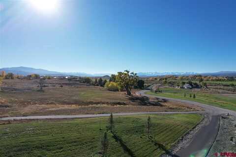 3803 Aspen Grove Lane, Montrose, CO 81401