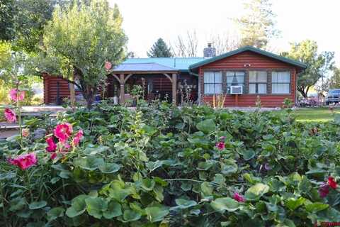 10341 Tongue Creek Road, Austin, CO 81410