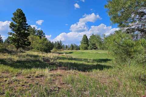 1305 Trails Boulevard, Pagosa Springs, CO 81147