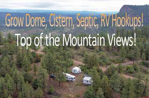 1460 Doc Adams Road, Pagosa Springs, CO 81147