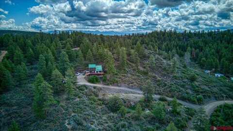 428 Echo, Pagosa Springs, CO 81147