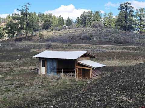 736 Hurt Drive, Pagosa Springs, CO 81147