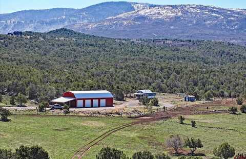 56001 KK Road, Molina, CO 81646