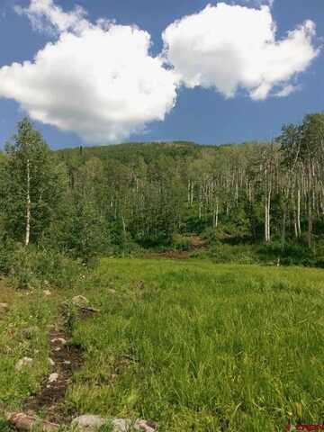 1390 Overlook Drive, Collbran, CO 81624