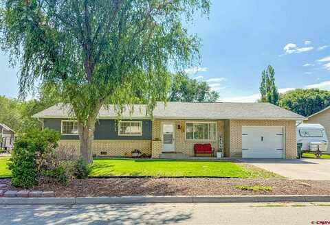 126 Lark Lane, Montrose, CO 81403