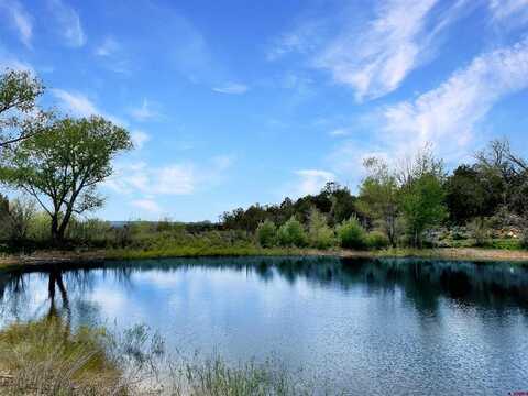 25471 Road S.6, Dolores, CO 81323