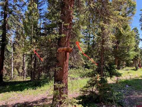 147 Ridge Road, Cimarron, CO 81220