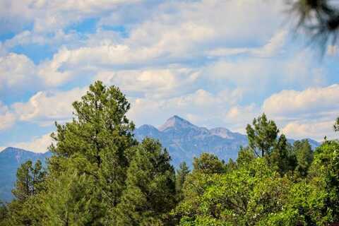 1343B Wheeler Place, Pagosa Springs, CO 81147