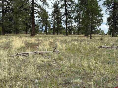 1343B Wheeler Place, Pagosa Springs, CO 81147