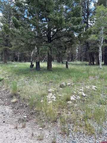 522 Monarch Rd., Powderhorn, CO 81243