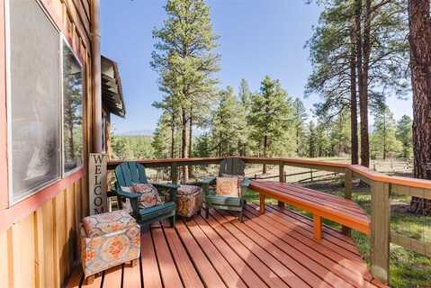 365 Shenandoah Drive, Pagosa Springs, CO 81147